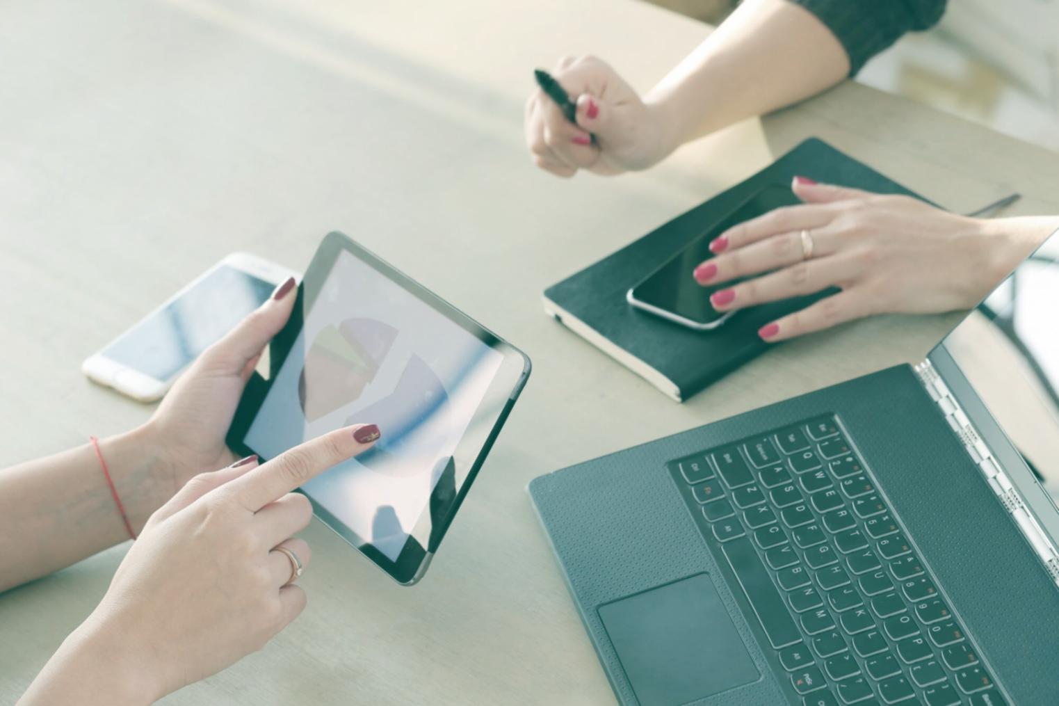 SEO denetim sürecini gösteren çalışma ekranı